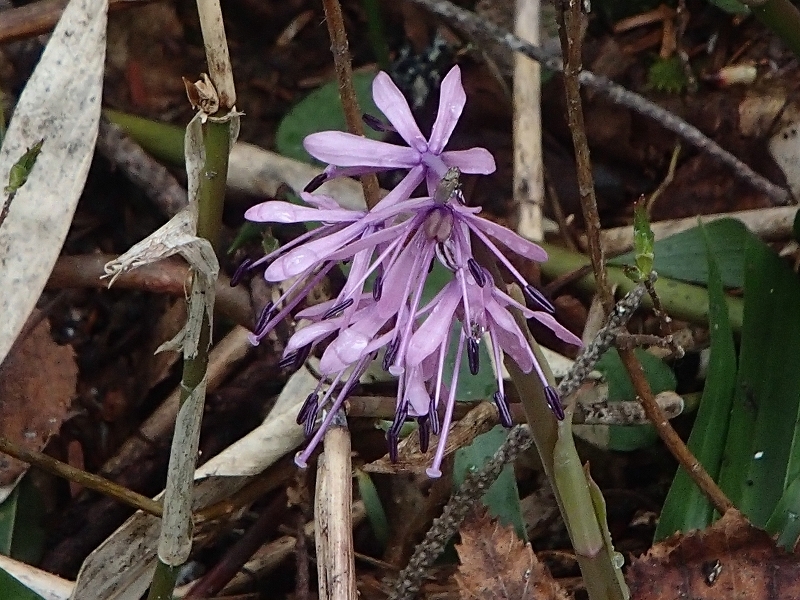b0044663_01072349.jpg