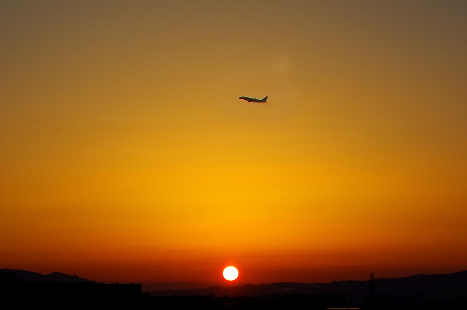 伊丹空港 千里川土手 ぶらり自然散歩 伊丹空港 千里川土手 ぶらり自然散歩