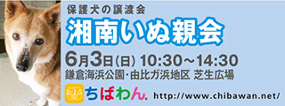 本日は、いぬ親会ですよ_b0177174_00465737.jpg