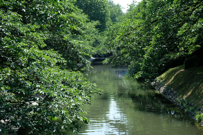 e0015174_21494230.jpg