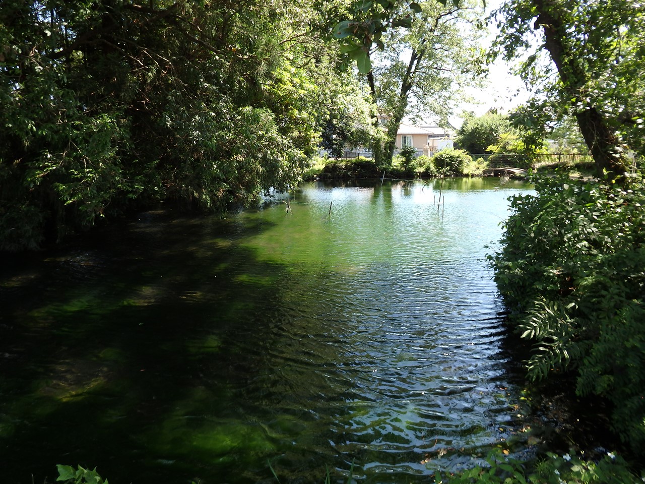 d0054276_19484510.jpg