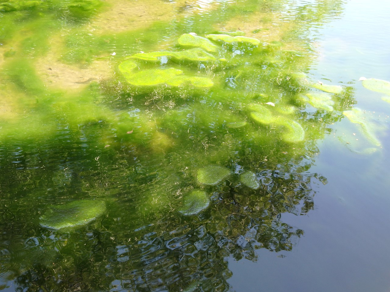 d0054276_1949383.jpg