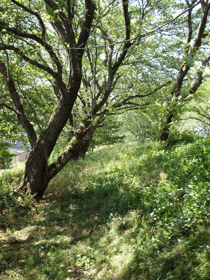 d0054276_19524844.jpg