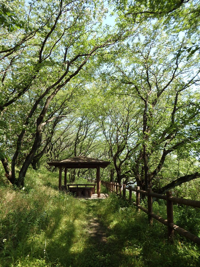 d0054276_19531810.jpg