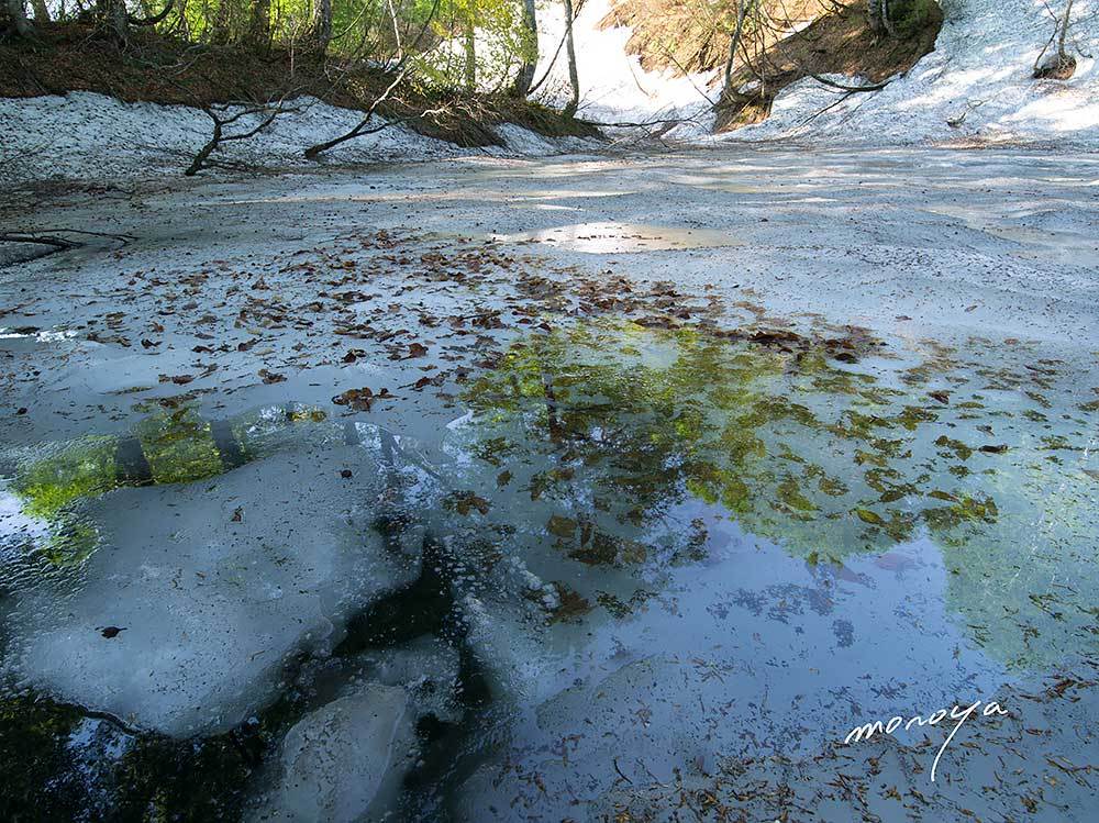 残雪の池_c0085877_07165170.jpg