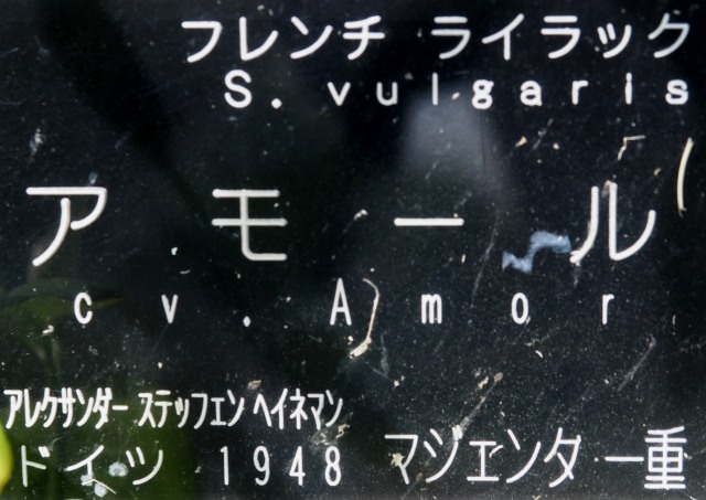 c0183777_8385434.jpg