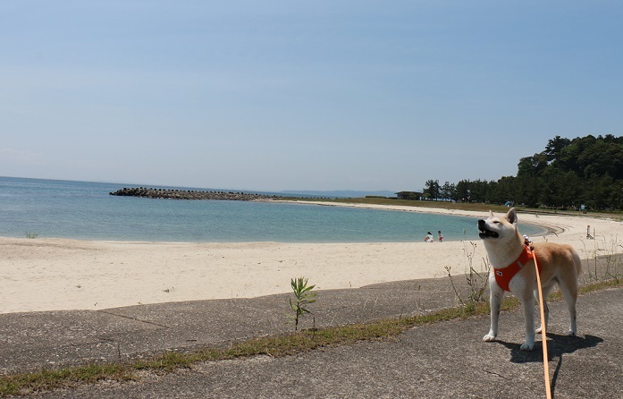 f0230777_15441881.jpg