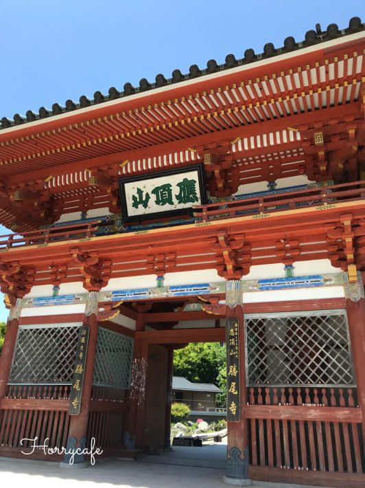 深緑につつまれた勝運の寺・勝尾寺 ＠大阪・箕面_d0158279_00003139.jpg