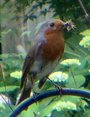 c0197980_05440453.png