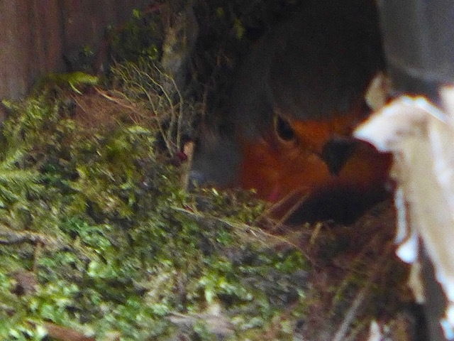 c0197980_05440986.jpg