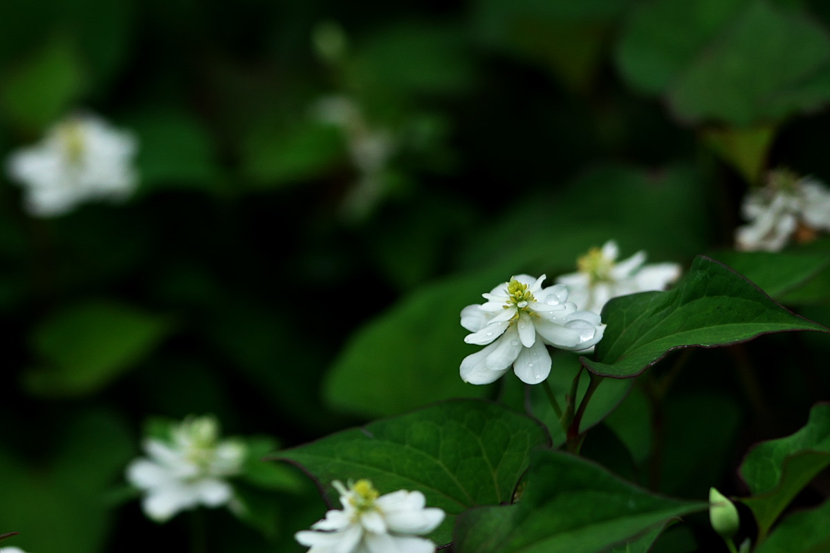 a0083081_13465506.jpg