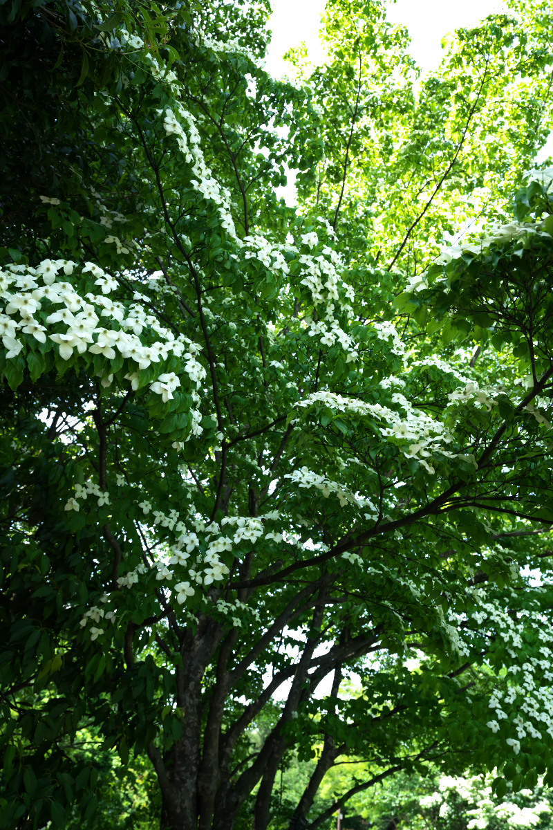 a0083081_14232246.jpg