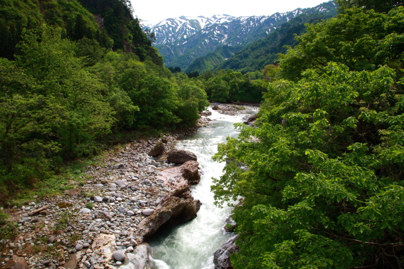 小国町　玉川渓谷の新緑　前半_e0165983_10263344.jpg