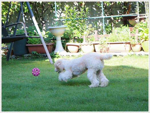 b0175688_22593165.gif
