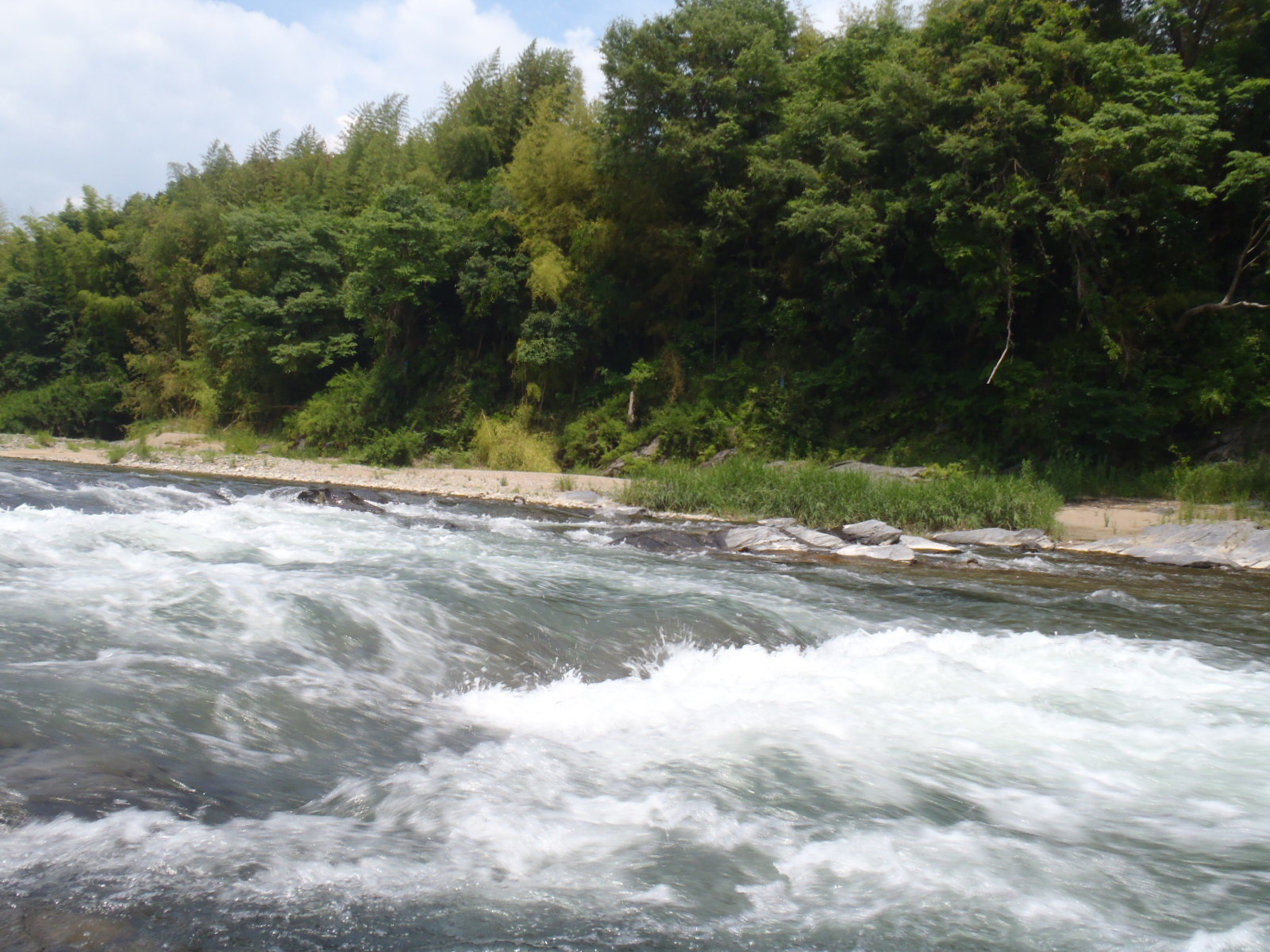 b0139489_20214170.jpg