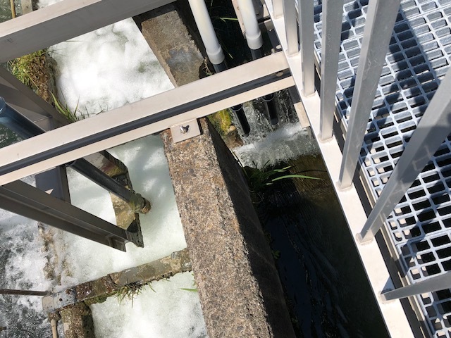 e0094589_19330958.jpg