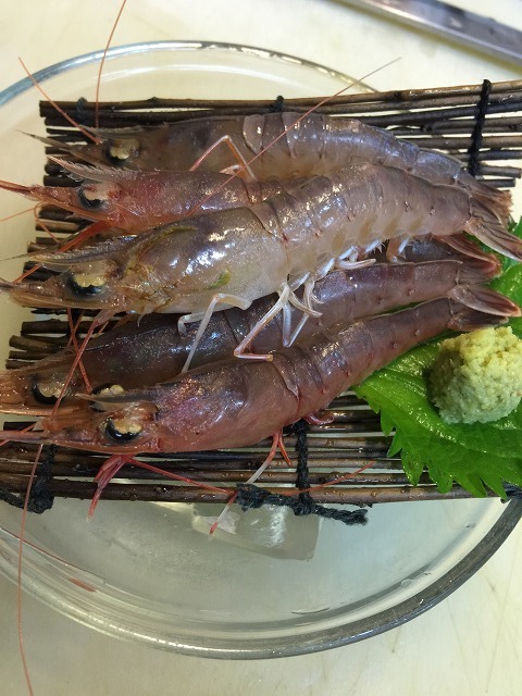カワツエビ_d0268290_10074813.jpg