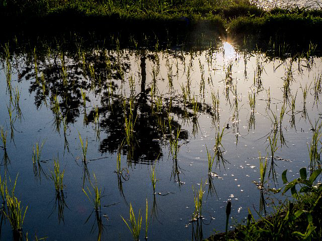 c0008502_1924475.jpg