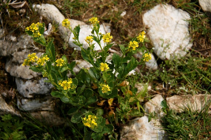 d0140806_813149.jpg