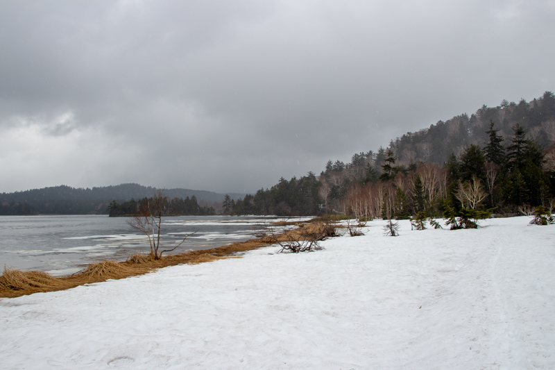 b0244811_20125069.jpg