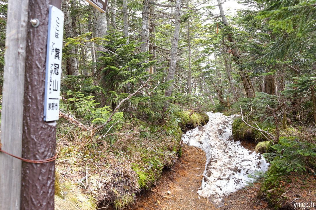 天狗岳の最高点にちゃんと立つ（３）_f0157812_14585825.jpg