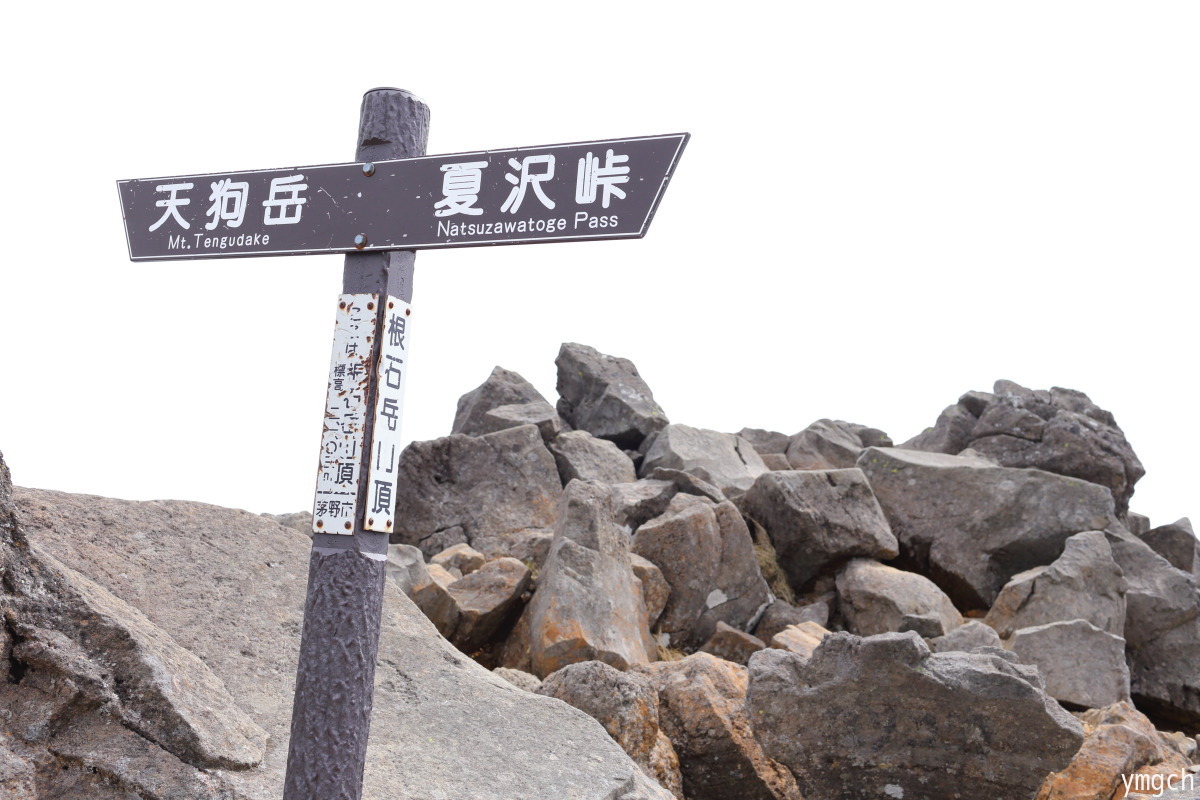 天狗岳の最高点にちゃんと立つ(3)_f0157812_14585989.jpg