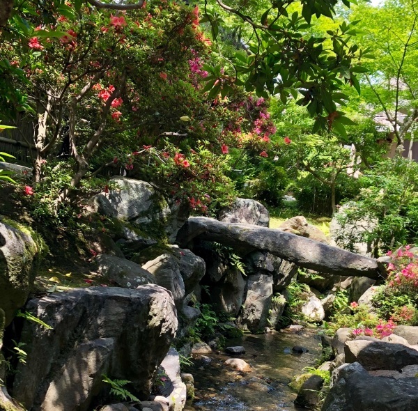 d0007913_16112621.jpg