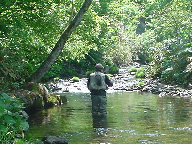 f0280717_15364575.jpg