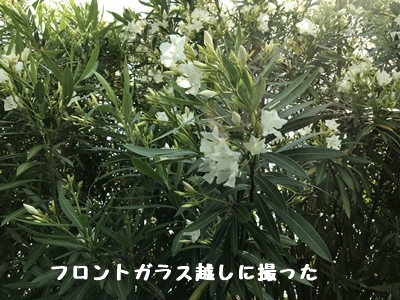 f0251618_17293451.jpg