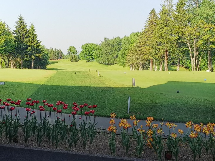 f0227321_19122492.jpg