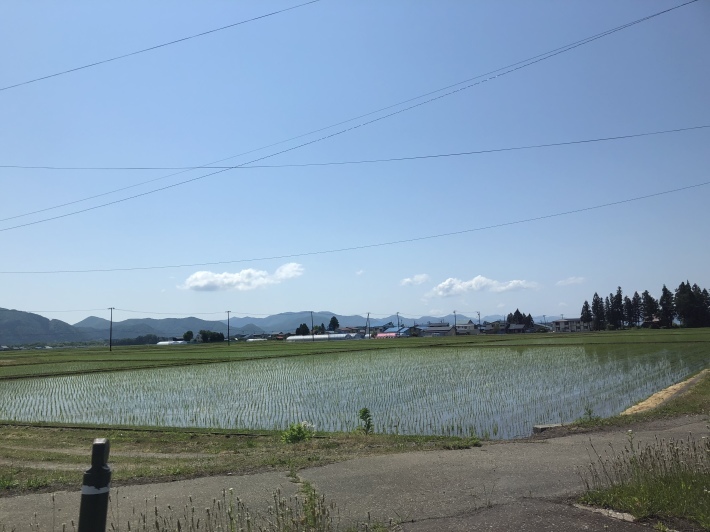 c0038722_17072467.jpeg