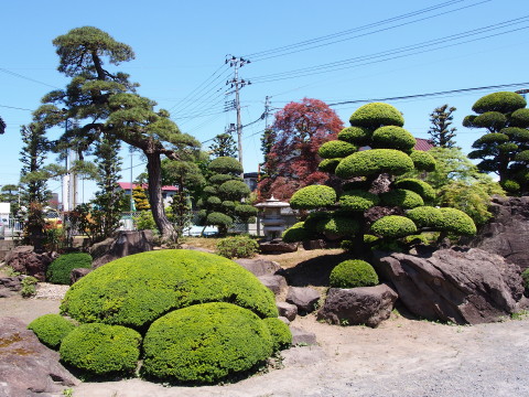 農家蔵・農家庭園めぐり：平川市金屋*2018.05.27_b0147224_2217428.jpg