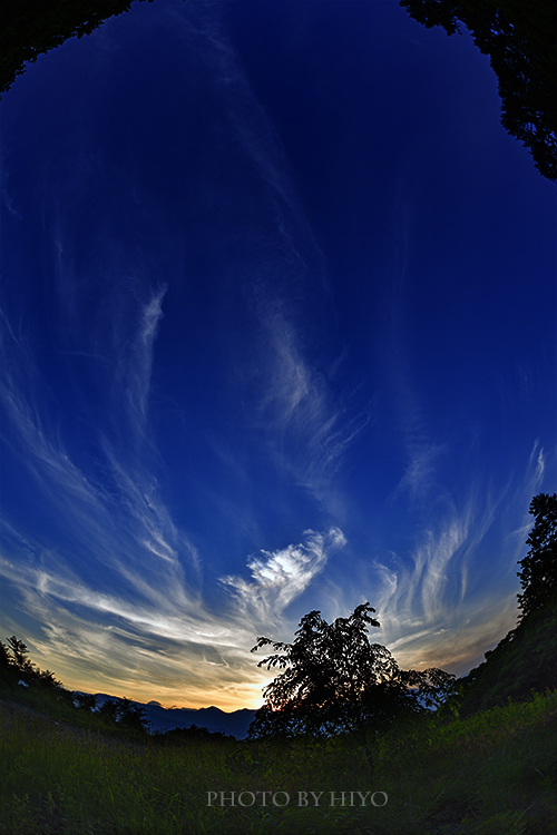 d0265224_23133973.jpg