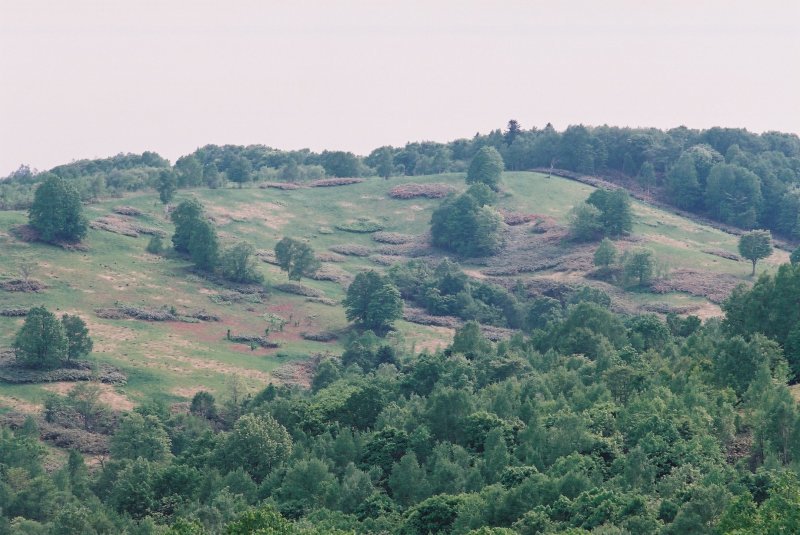 f0362725_14184427.jpg