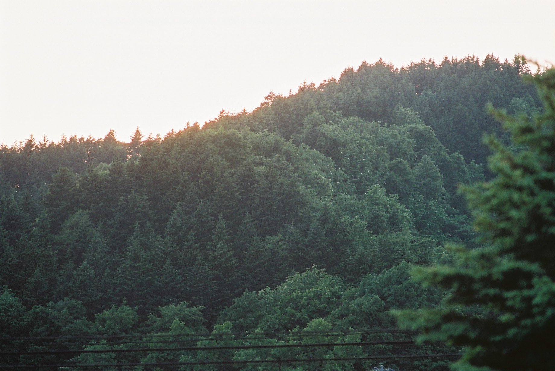 f0362725_14201614.jpg