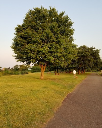 今週もありがとうございました_f0120026_20280229.jpg