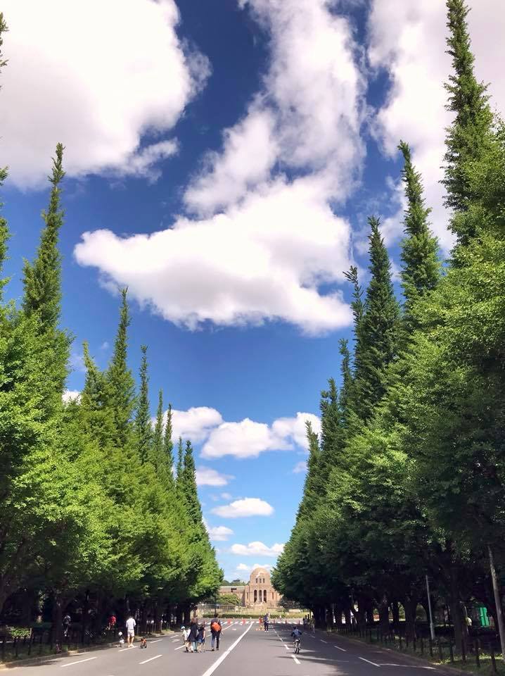 初夏ラン_a0231828_00173257.jpg