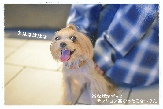 d0179828_11483521.png