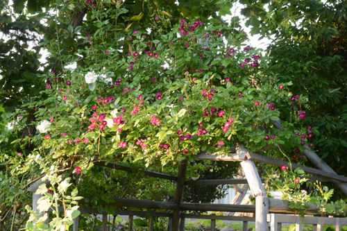 c0107129_21363405.jpg