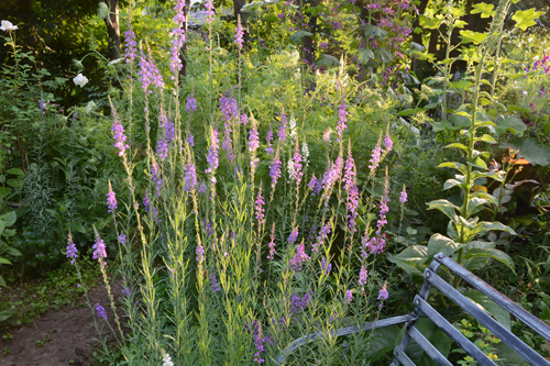 c0107129_21370670.jpg