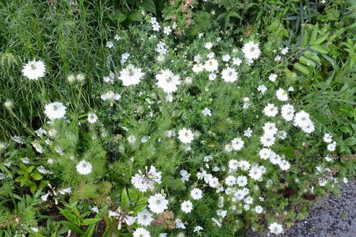 c0107129_21462775.jpg