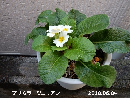 e0033229_1831844.jpg