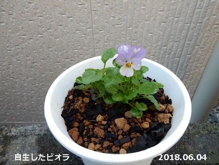 e0033229_18392885.jpg