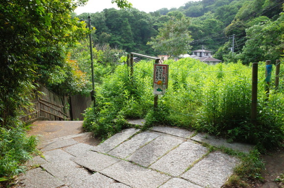 a0287336_23065085.jpg