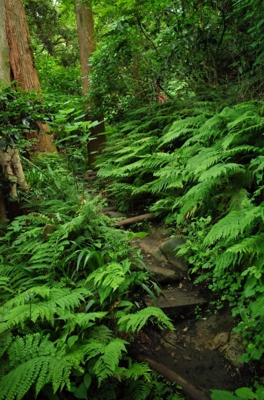 a0287336_23081975.jpg