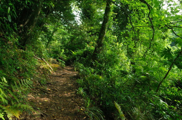 a0287336_23083980.jpg