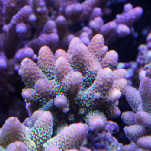 d0221436_20344593.jpg