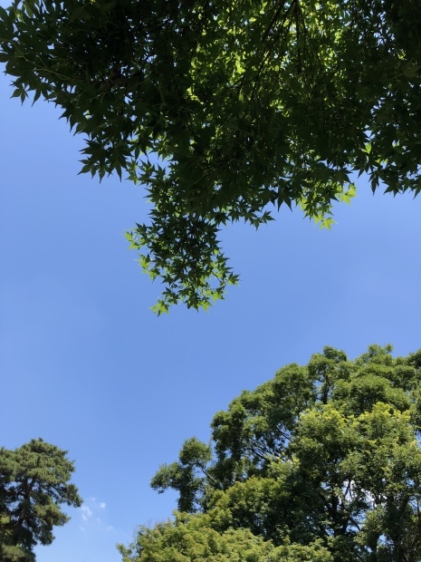 f0038336_07544568.jpeg