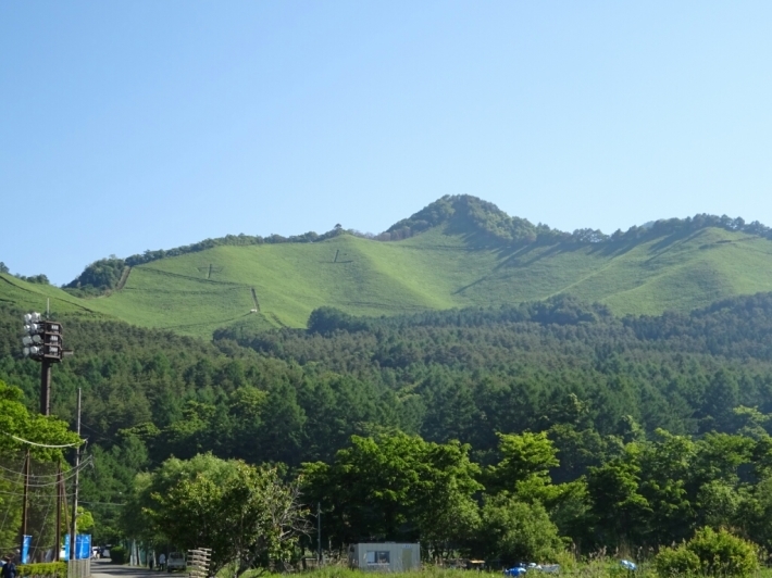 d0378837_17350931.jpg