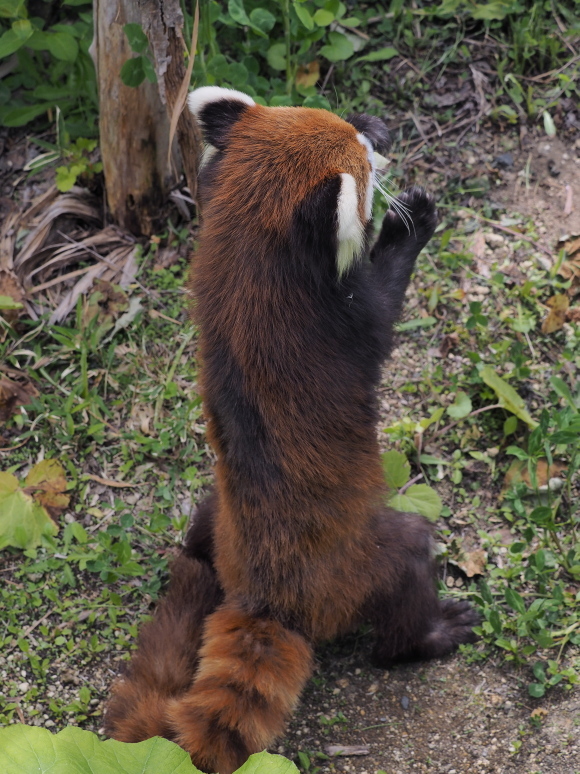 a0149740_18491406.jpg